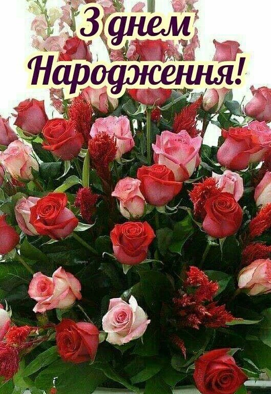Квіти для привітання з днем народження.
