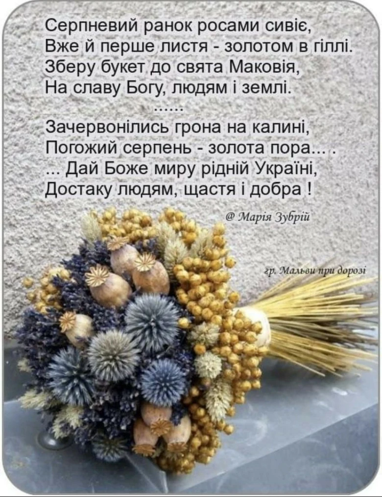 Сухоцвіти з маком та лавандою на фоні стіни