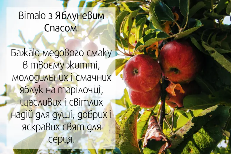 Червоні яблука на гілці з привітанням до Яблучного Спасу.