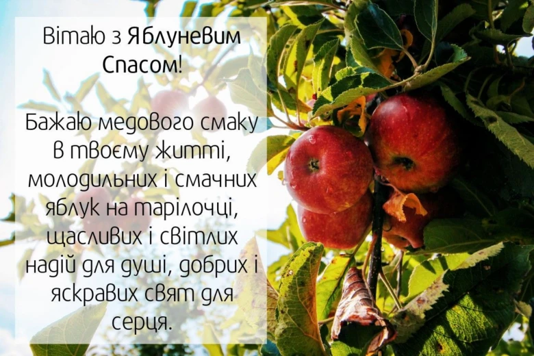 Червоні яблука на гілці з привітанням Яблучний Спас